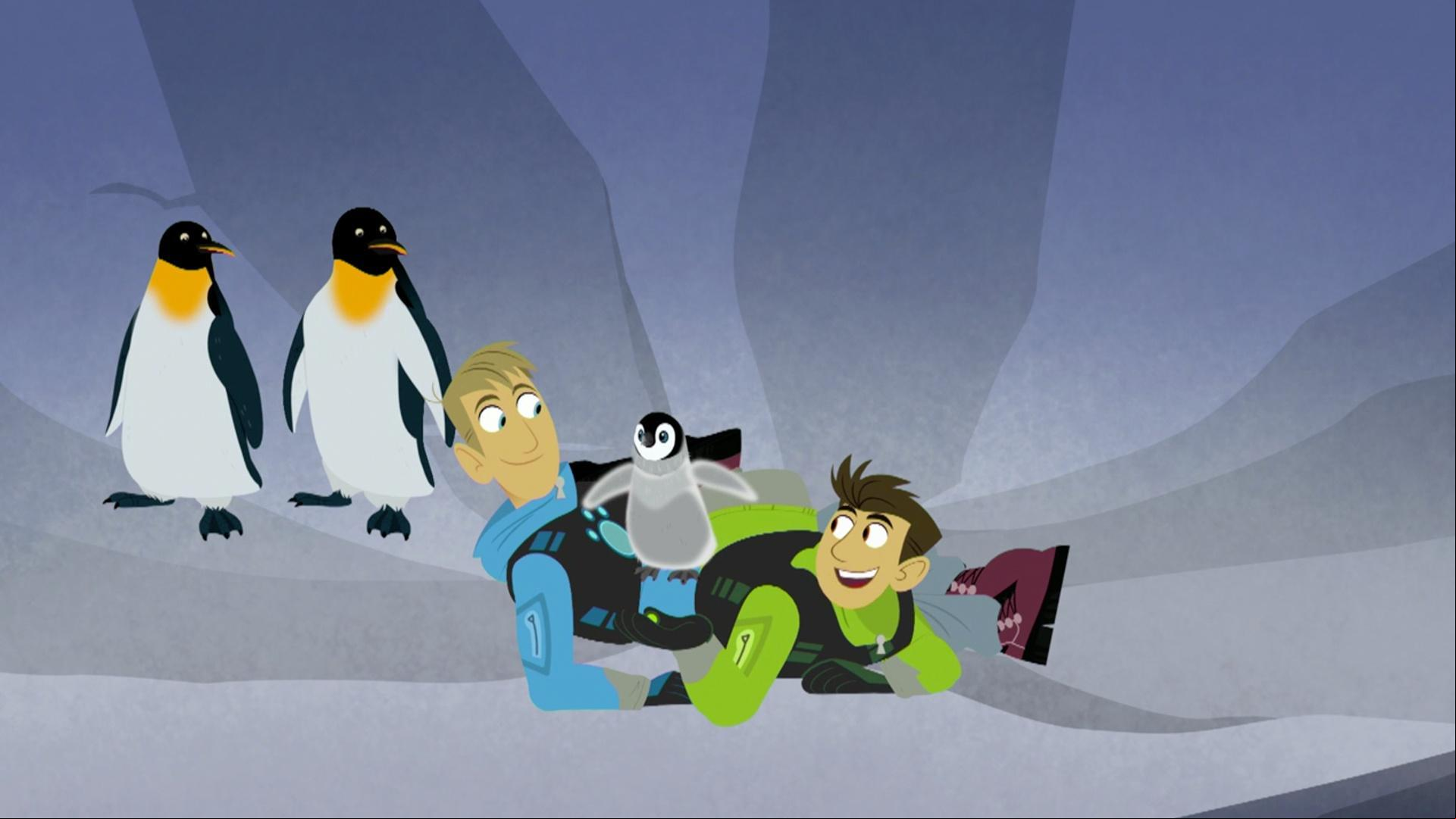 The Kratts investigate the mystery of "lost" penguins in the Arctic.